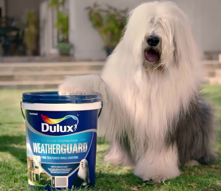 4a5ea95093ba2fa516b9644c96