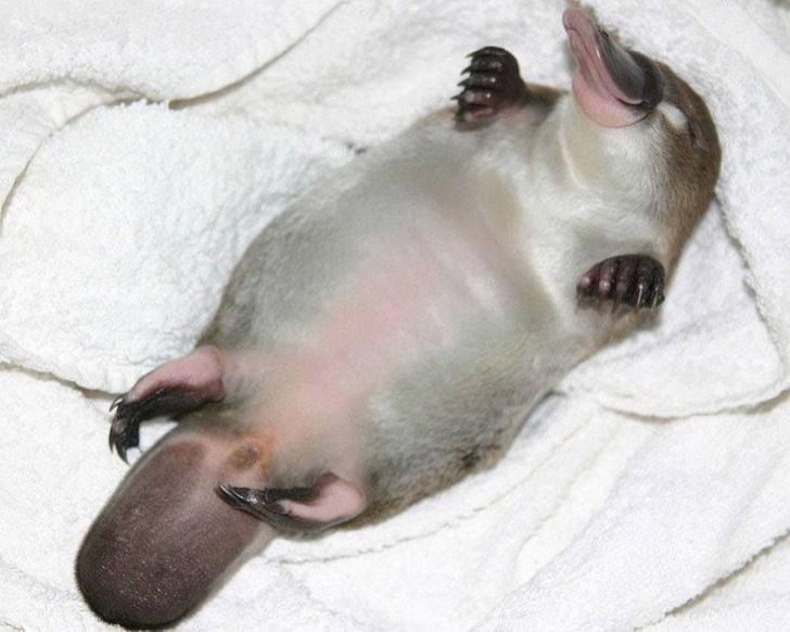 4a5ec55ef9a96ed03889fbf55d