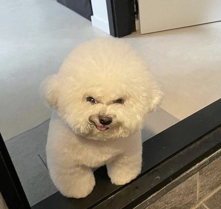 4a63fa5bf48cabded51a9c373c