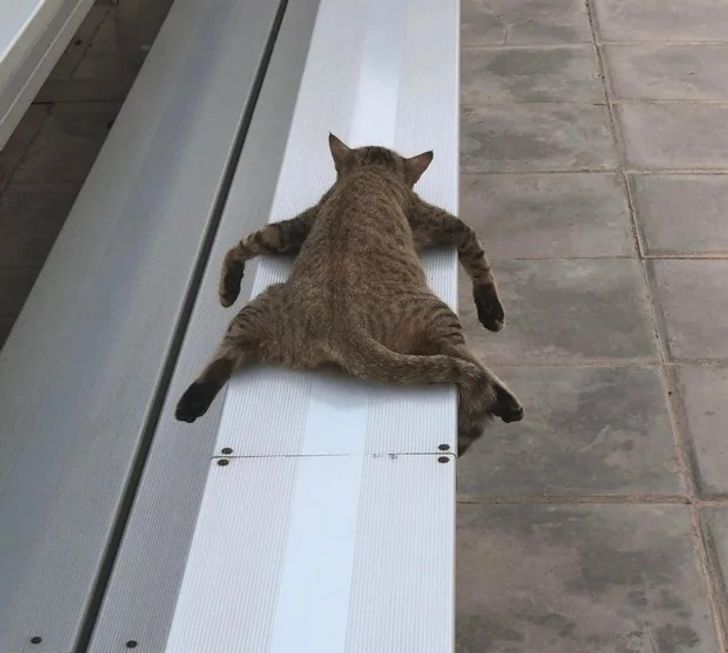 4a647f521fa21996e0586911cb