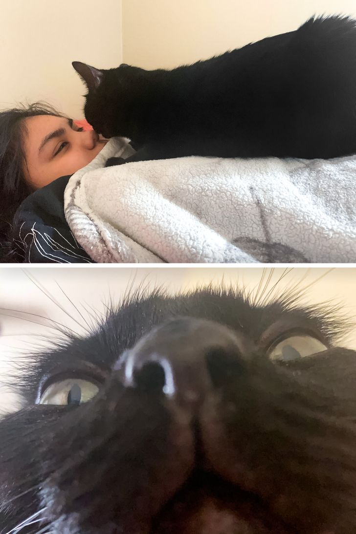 4a662f5ce1a0fae435b961439d