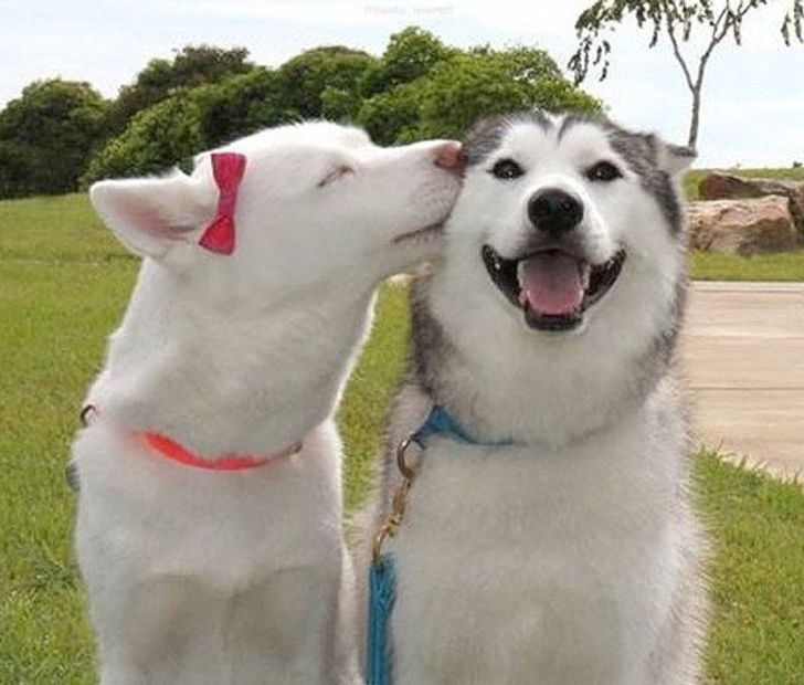 4a677e5d0997f8acf7b1f0e3b8