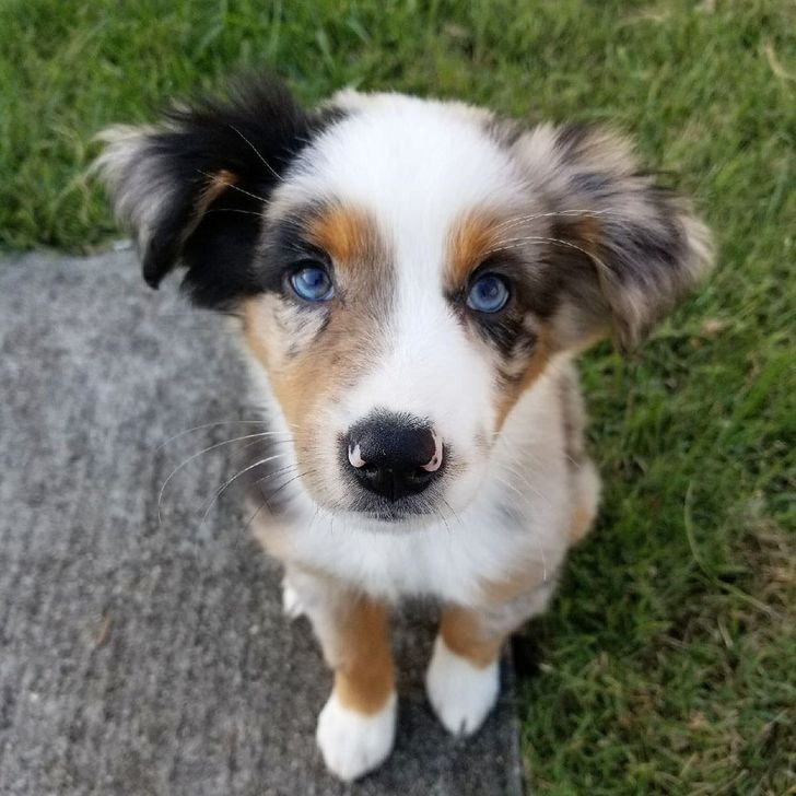 4a6a33546ca405cea936955624