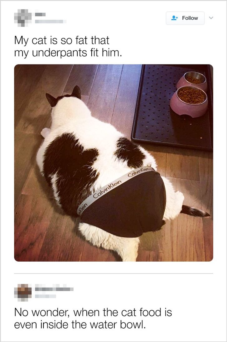 4a707e5321b94150d8141d9023