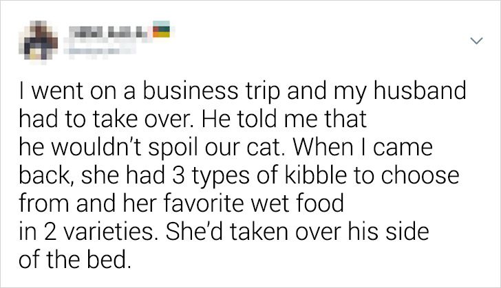 4a78a05a09b930638424e9d869