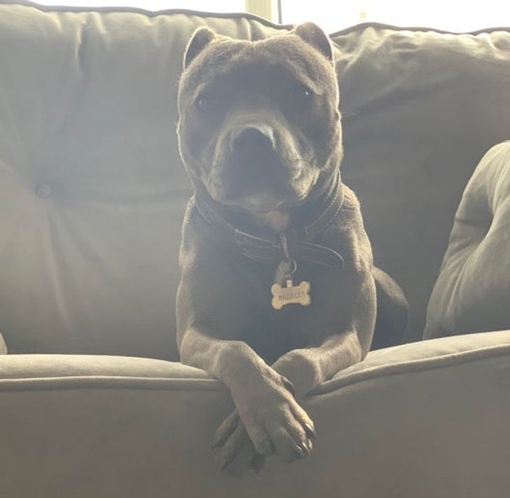 4a82b95c8487852711459ceefe