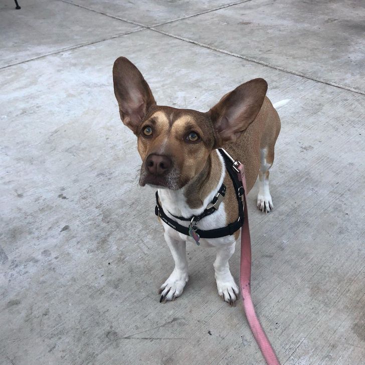 4a8e2d5fc2a1d550d95b392990