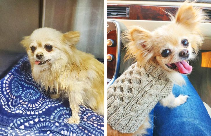 4a906e52179ce95ff7cea0254d