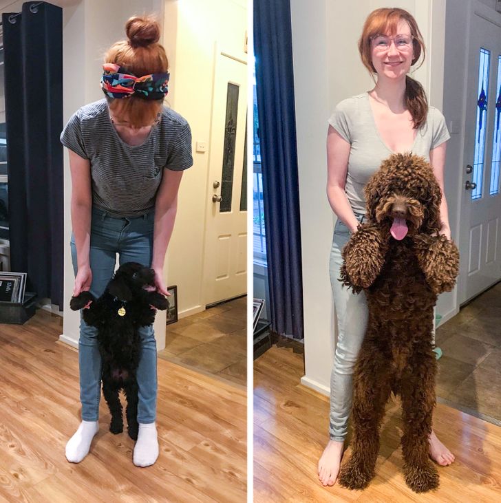 4a9329577c9a820ac08175cbe6