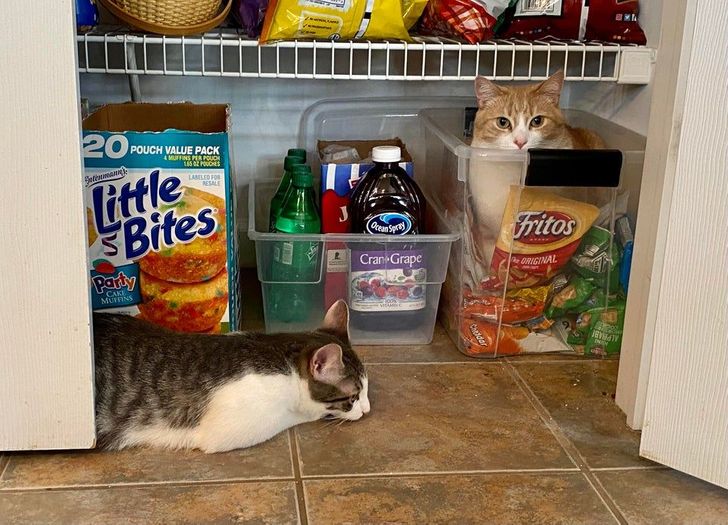 4a998f5438a6f48e9f39589dbe