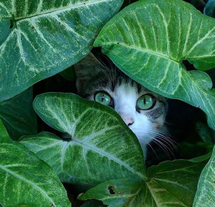 4a9b5451a49fd8ec8ee0abf8ce