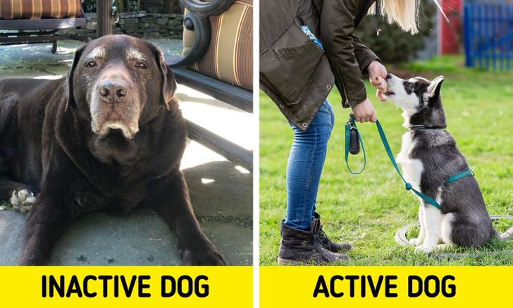 4a9cec5c5caee899291df94988