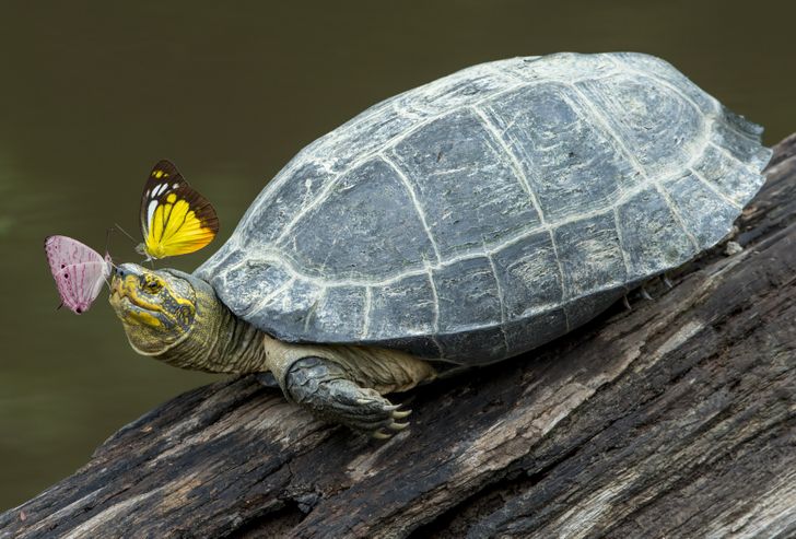 4aa015557787036c6a4e2dddd2