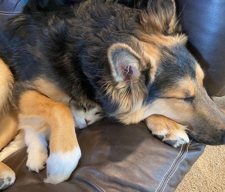 4aa5f75d599843fc4f07bbc57d