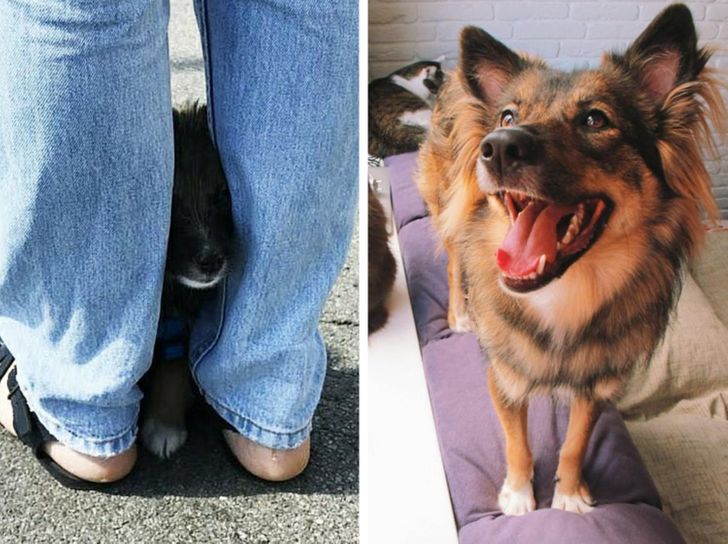 4aab7a5f4796c07c9a9e4422f4