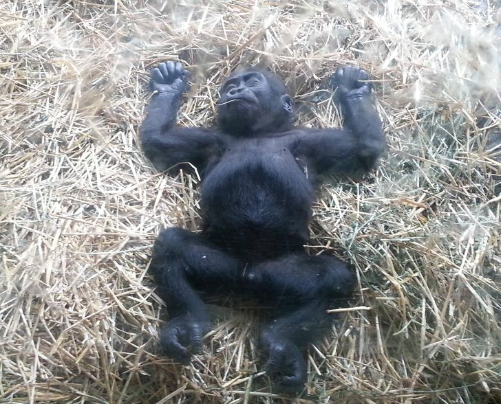 4aabab518cba0fe1359f97cd55