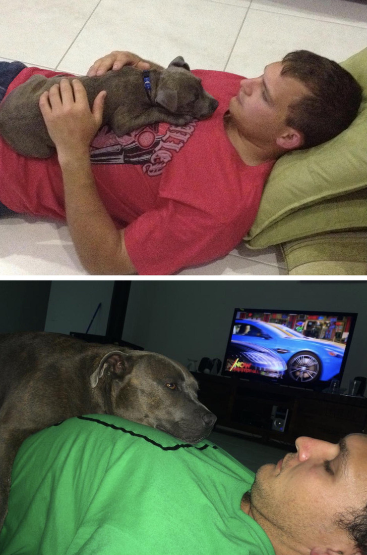 4aada6586483e242b6b5c1dbfd