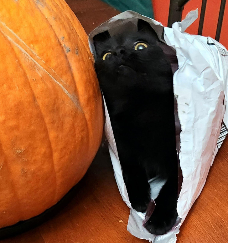 4aaea55b2b95a66e1e436eae26