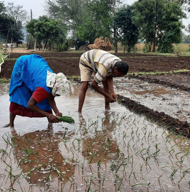 4ab8895ba89ffac3a7f3a91881