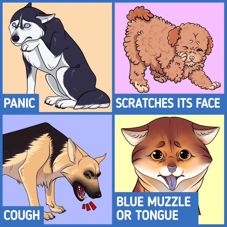 4abc9156b9a3325995fae6cd44