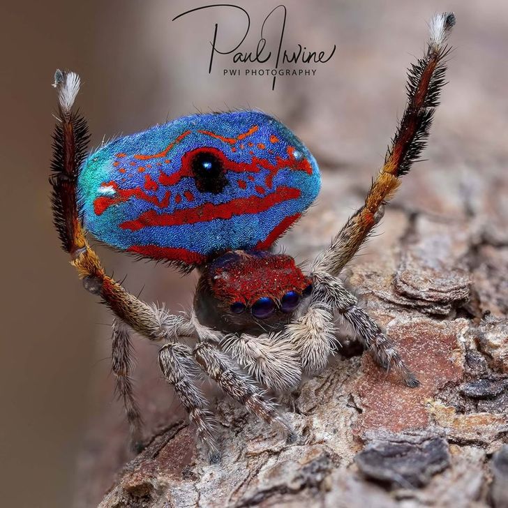 4ac08f5db58b6215585725661d