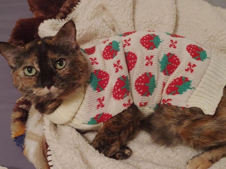 4ac1155354be39fd8917a38280