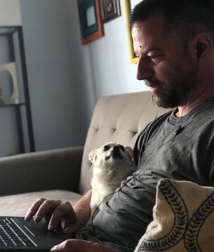 4ad1005fb2bae60ff8d1a1469a