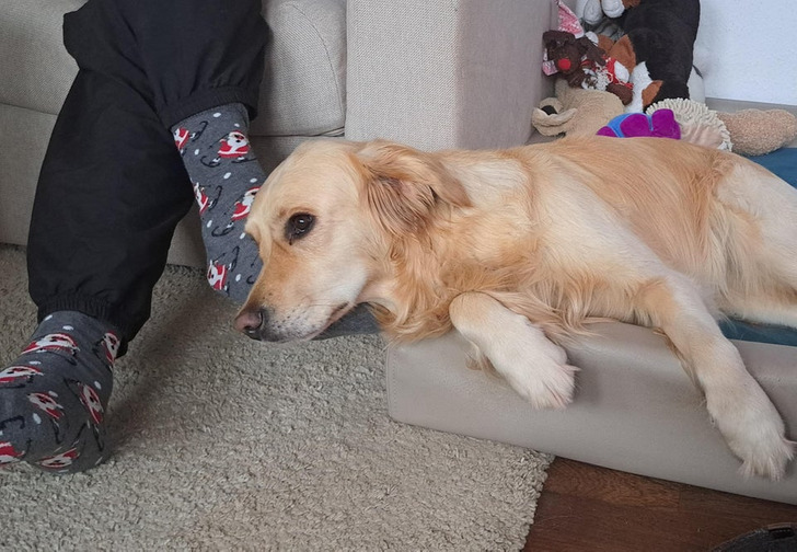 4ad94256ab8918cac28dcfa08d