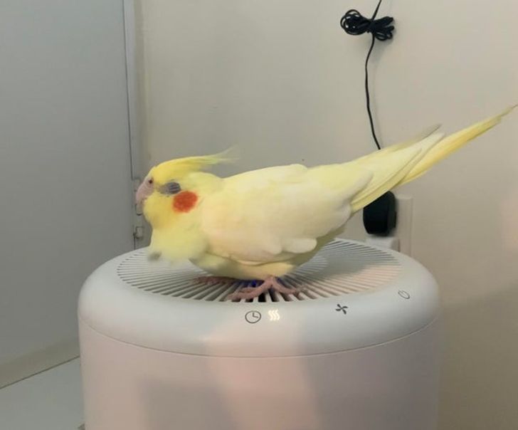 4ada7954a8870a68c09a6b9cdd