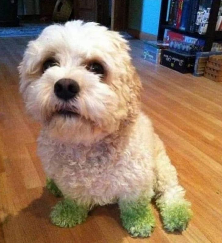 4aeca859b5b913407d2bdc8802