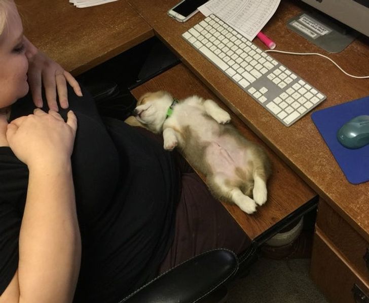 4aeef557828f7cf44c2cb21de0