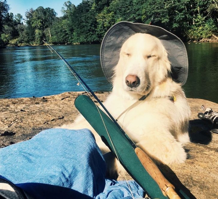 4aef4f55648e7d1a8d85f64b09