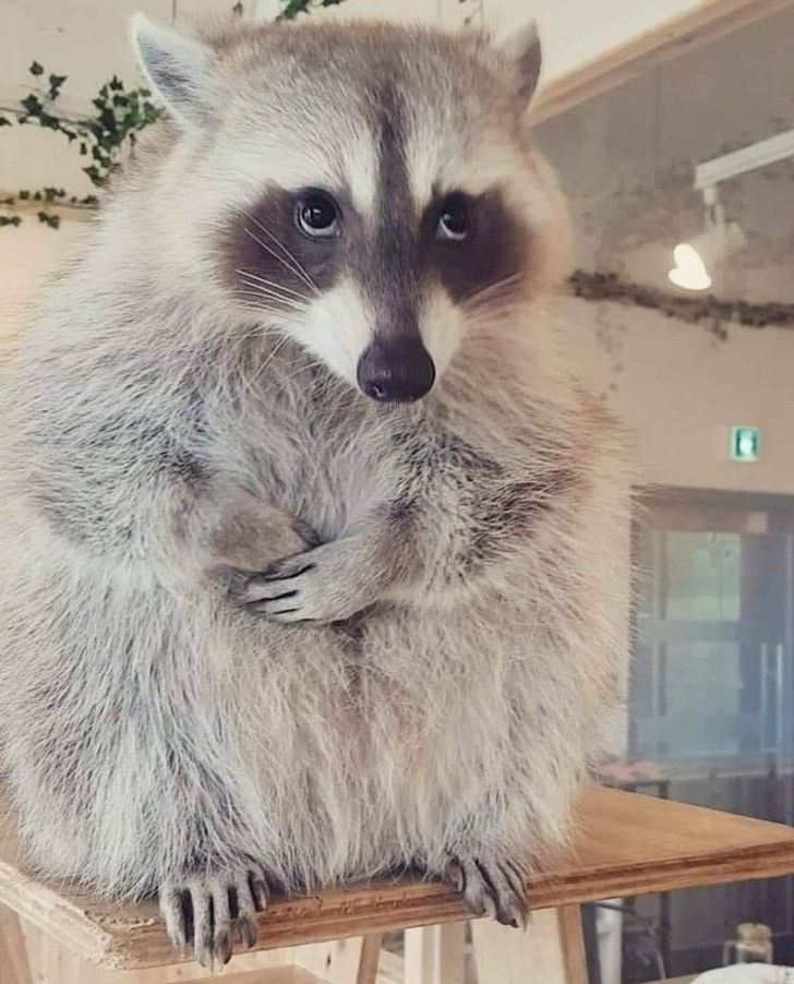 4af1b955fcb68adc02df1e9b14