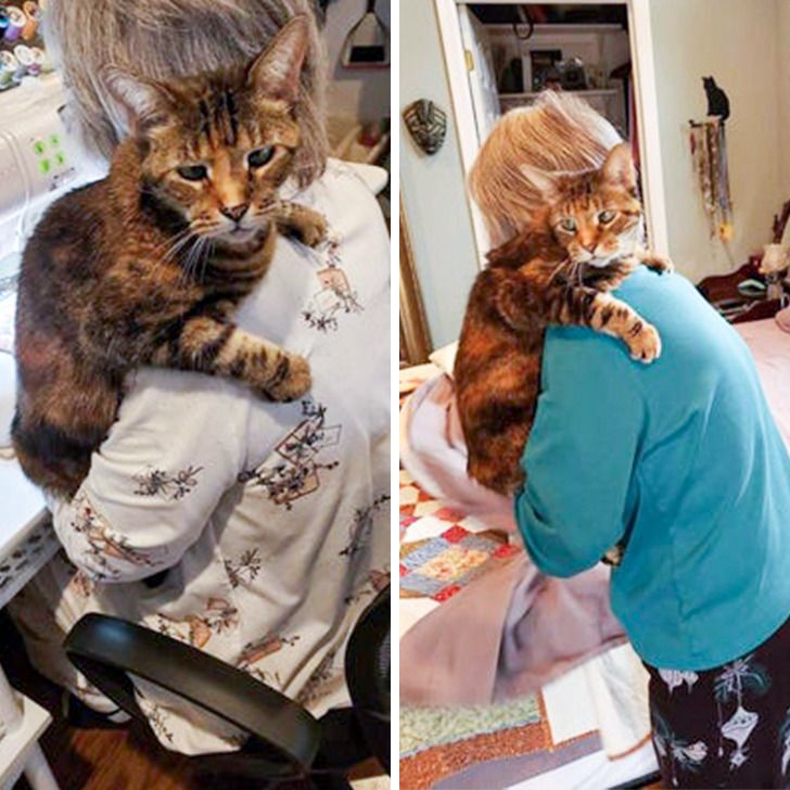 4af7a657a7b667123174e2d9d1