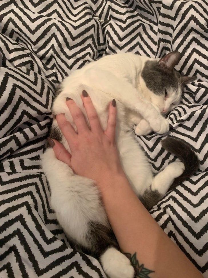 4afbb05f9fb55d089311400277