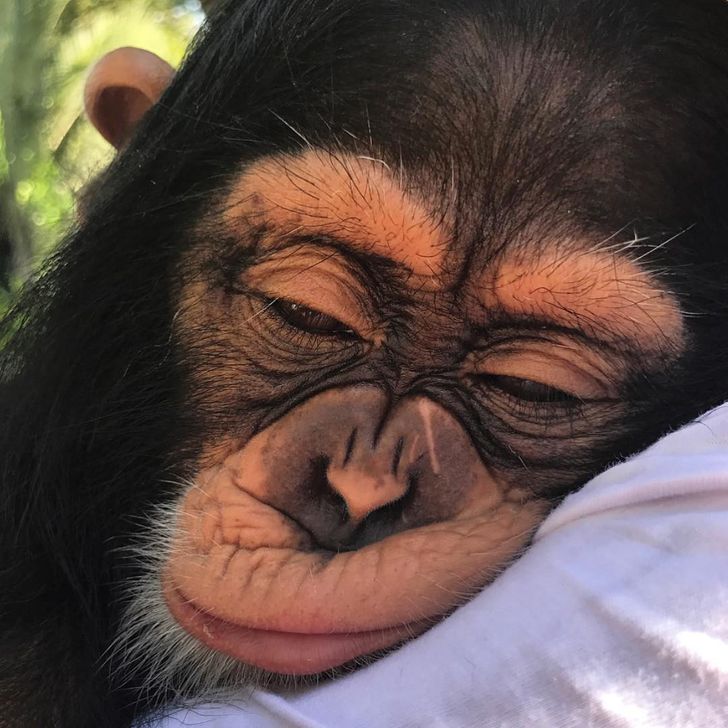 4b04be5a4e9cabf11b6fb5a590