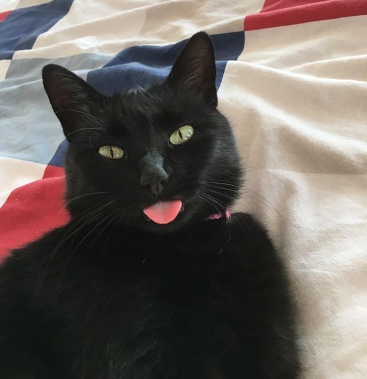 4b062c58638ab49cd9ba4571e8