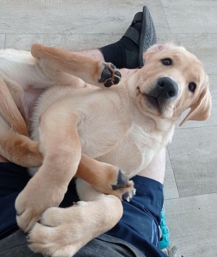 4b08d957778da9c0d2067d6fcd