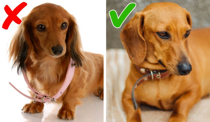 4b12375282849f5564fb80714e