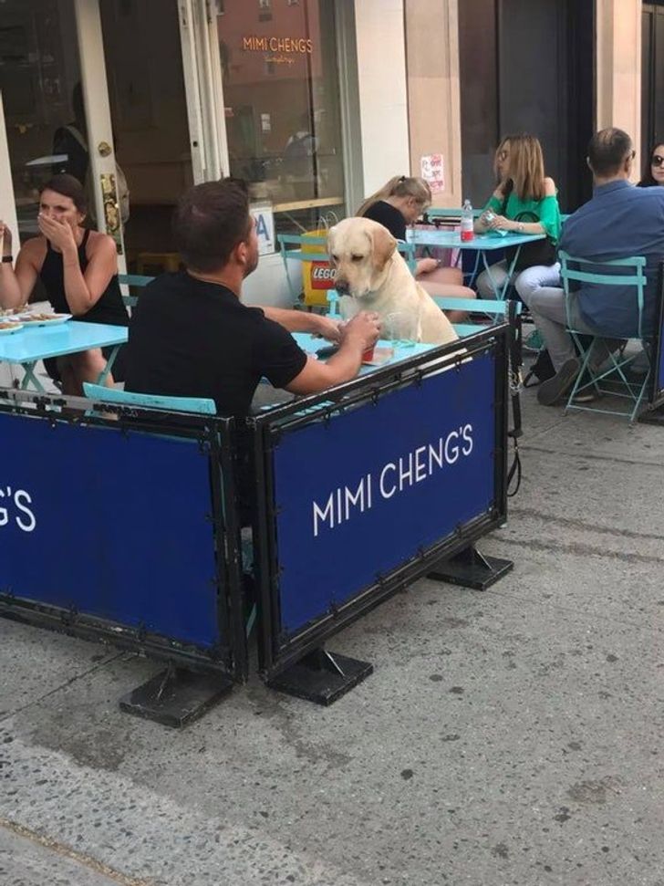 4b206b570db586471778238978