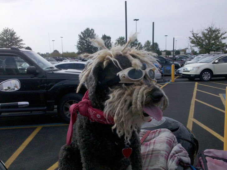 4b20cf5a11b27d0dc1f4724f15