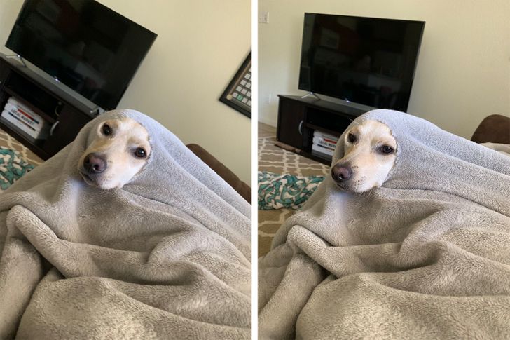 4b26fd58008097029163ca81f1