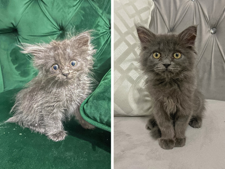 4b2c0e547bbf136664e61a152d 4b2c0e547bbf136664e61a152d