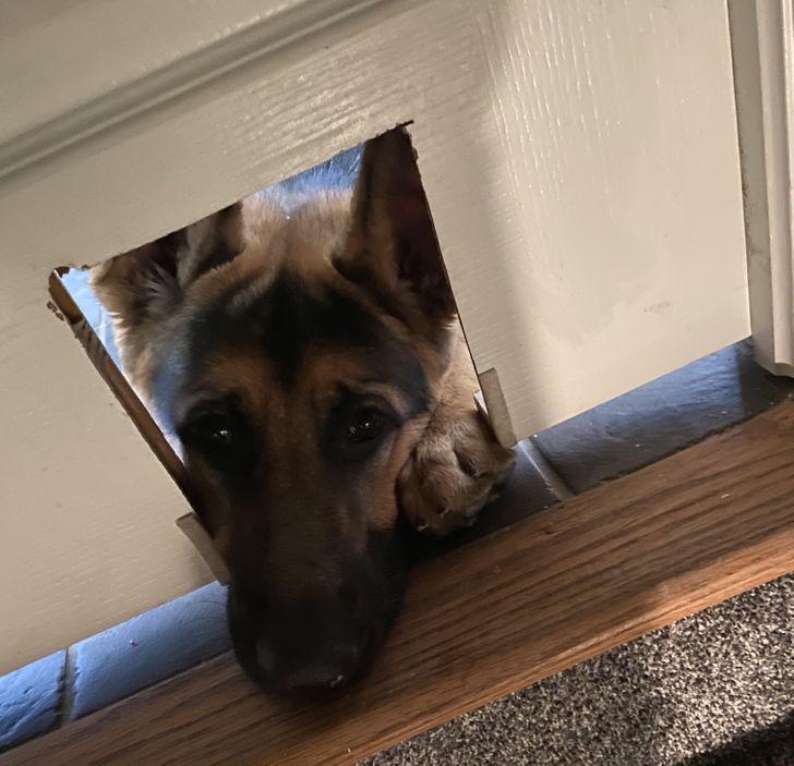 4b31a952d6b7814e9e52f07076-1