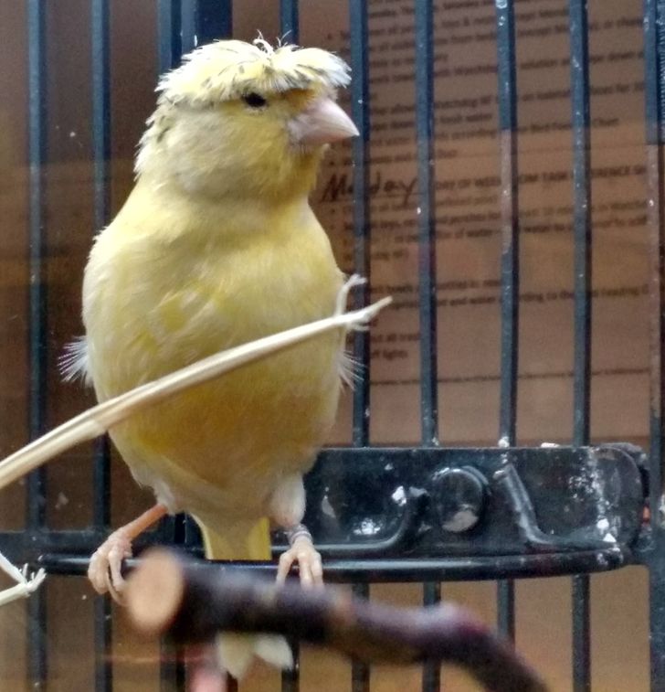 4b4f485a3f9f6a1801638d9d32