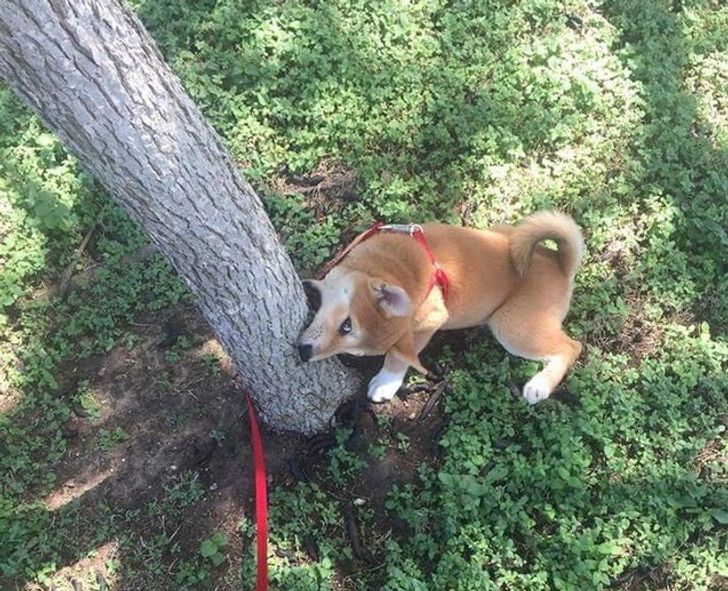 4b4f7b5e60a97262776d8ec2e0