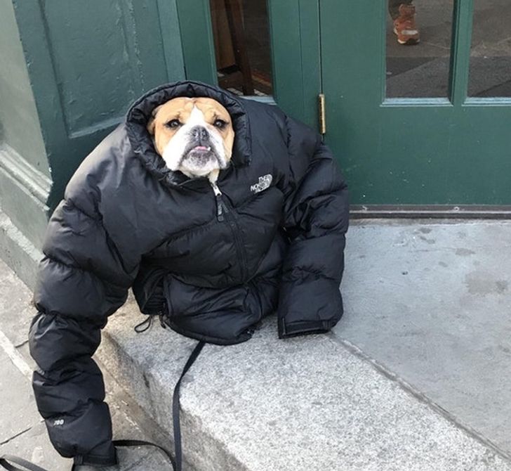 4b52965728850c96383efb280d