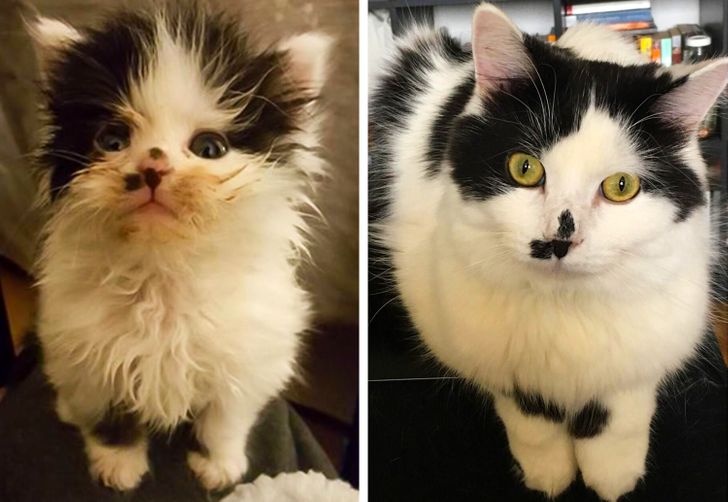 4b5c28502ca8f6afff3cf8f298