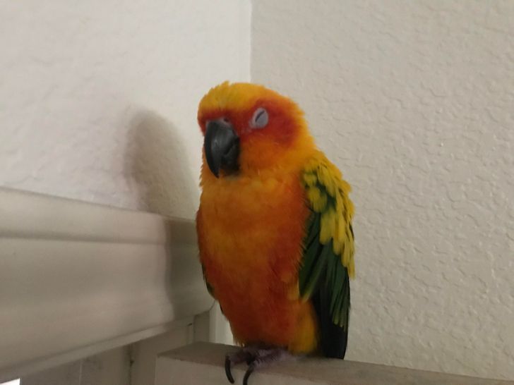 4b65175758b26fe1dc4b737459