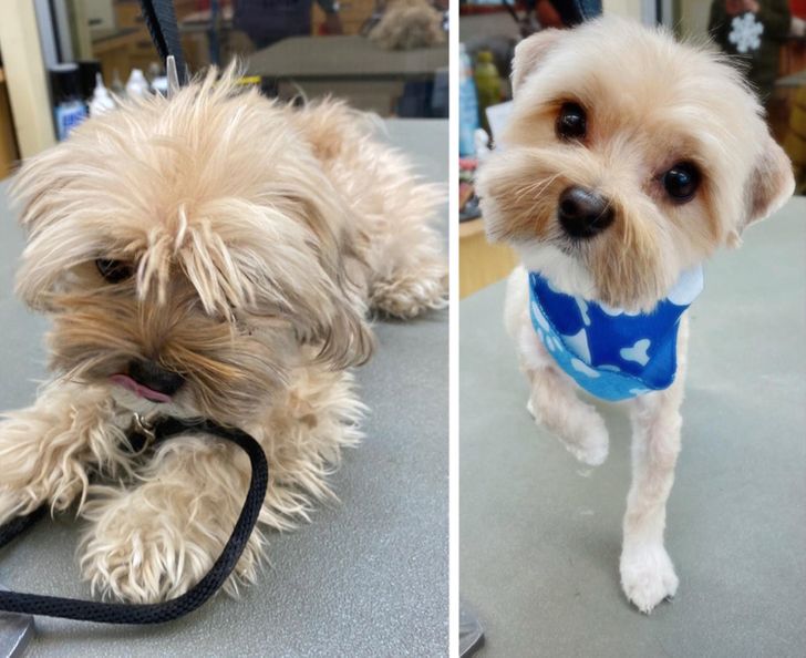 4b882b5b708f8cfe44766e232f 4b882b5b708f8cfe44766e232f